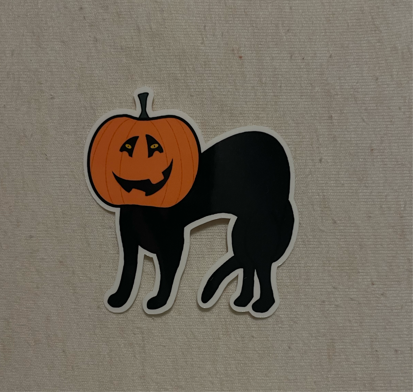 pumpkin’s got your cat?